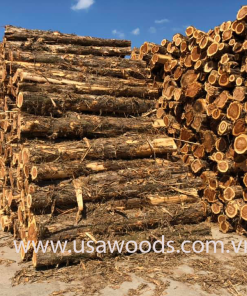 GỖ TUYẾT TÙNG ĐỎ TRÒN(RED CEDAR LOG)