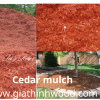 CEDAR MULCH