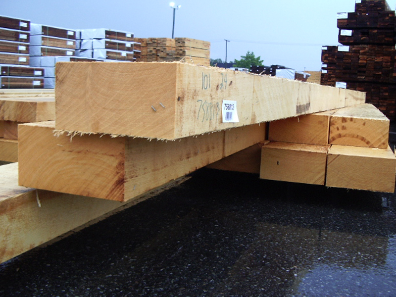 GỖ TUYẾT TÙNG VÀNG ( YELLOW CEDAR) GỖ TUYẾT TÙNG VÀNG ( YELLOW CEDAR)