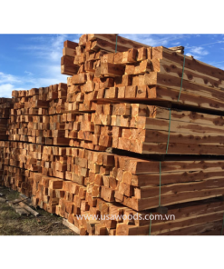 GỖ TUYẾT TÙNG ĐỎ (RED CEDAR)