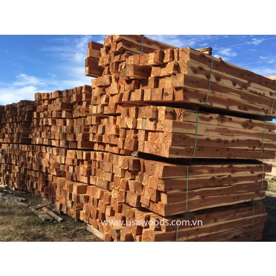 GỖ TUYẾT TÙNG ĐỎ (RED CEDAR CANTS) GỖ TUYẾT TÙNG ĐỎ (RED CEDAR CANTS)