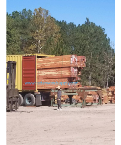 GỖ TUYẾT TÙNG ĐỎ (RED CEDAR)