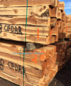 GỖ TUYẾT TÙNG ĐỎ (RED CEDAR)