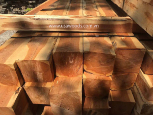 GỖ TUYẾT TÙNG ĐỎ (RED CEDAR)