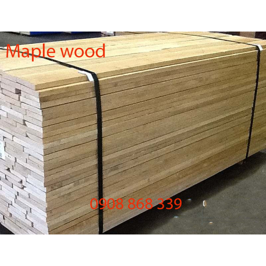 GỖ THÍCH CỨNG ( HARD MAPLE) GỖ THÍCH ( HARD MAPLE)