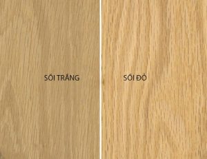 PHÂN BIỆT GỖ SỒI ĐỎ VÀ GỖ SỒI TRẮNG