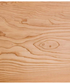 Gỗ Sugi – Gỗ Quý, Gỗ Thơm Tuyết tùng Nhật Bản Gỗ Sugi – Gỗ Quý, Gỗ Thơm Tuyết tùng Nhật Bản